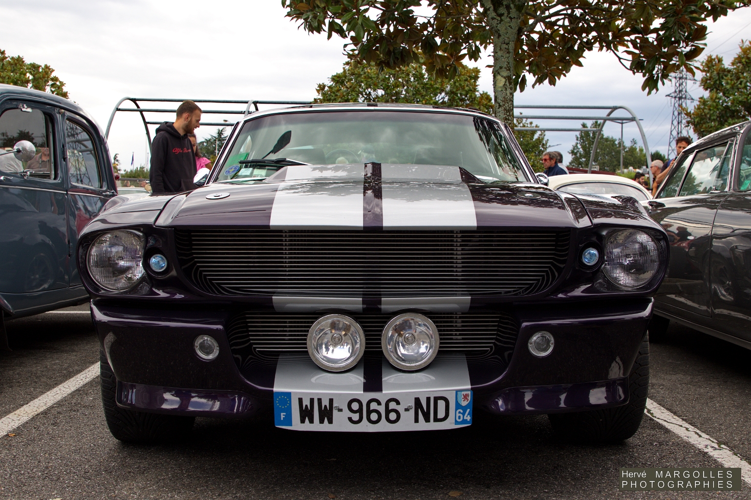 Ford Mustang Cobra 350 Shelby_02.jpg